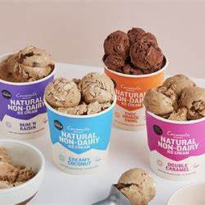 Organic Premium Ice_creams 200ml